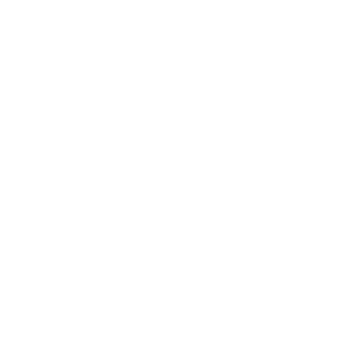 Ana Paula Perci
