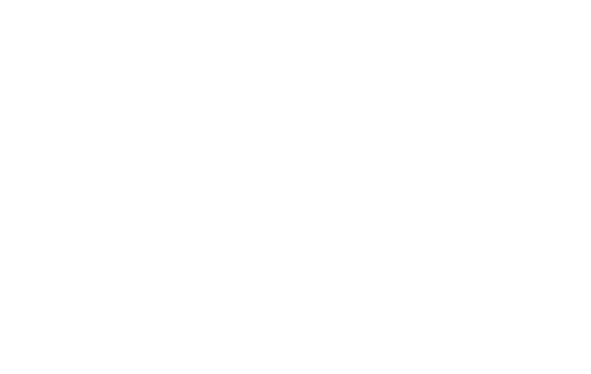 Janete Silveira
